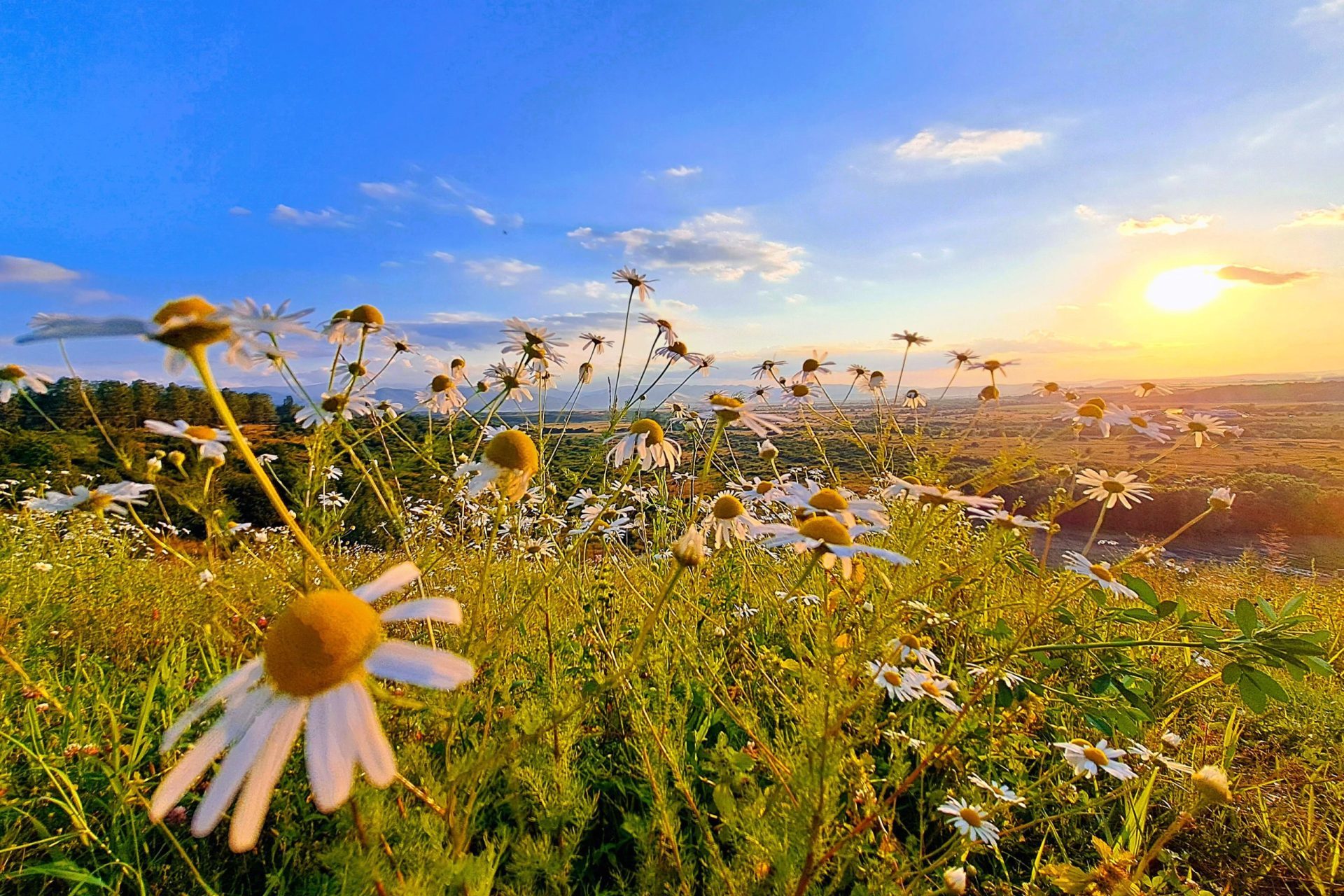 Sunset in Sibiu scaled e1747656307684