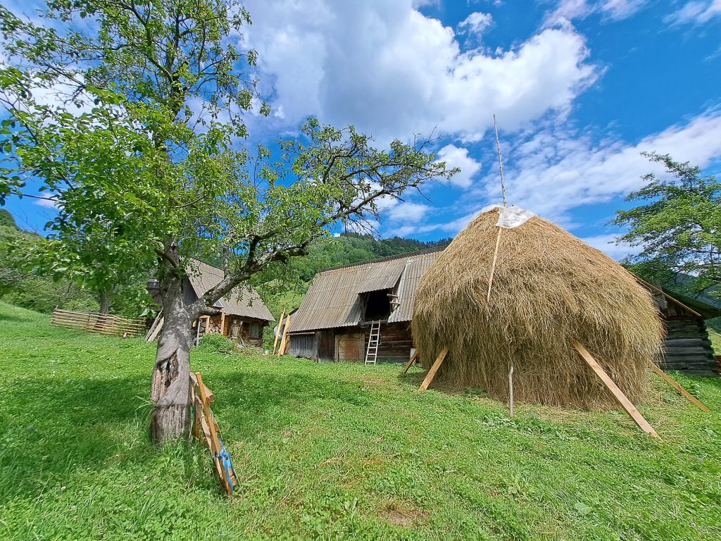 Rau Sadului Hiking Tour