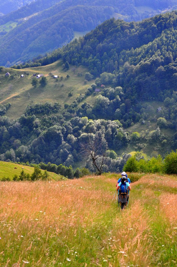 Rau Sadului Hiking Tour